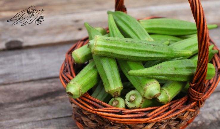 Okra