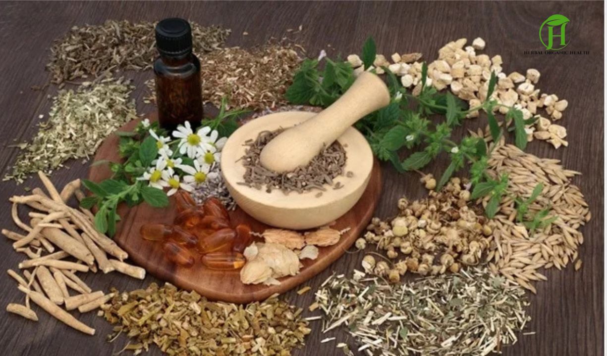 AI Herbal Medicine Treatment