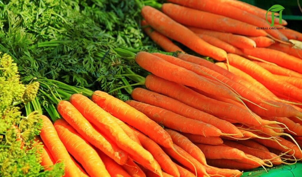 Carrot Eating Benefits